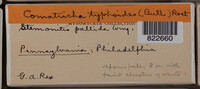 Image Associated With the Occurence